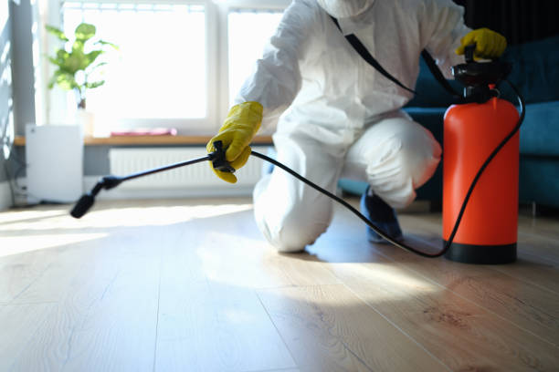 Reliable Odor Removal contractor in Hillrose, CO by Trauma Clean Pros